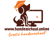Wandelen met de hond